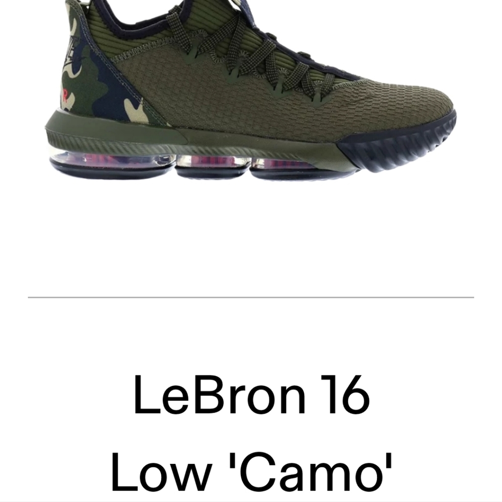 Nike L .James Air